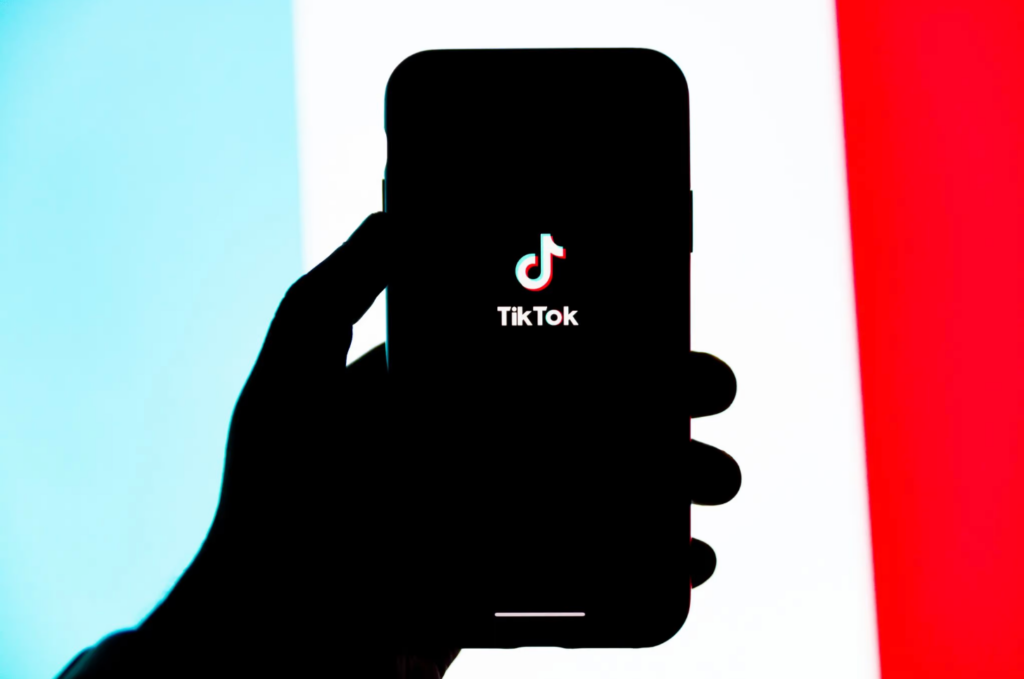 How To Search On Tiktok Like a Pro